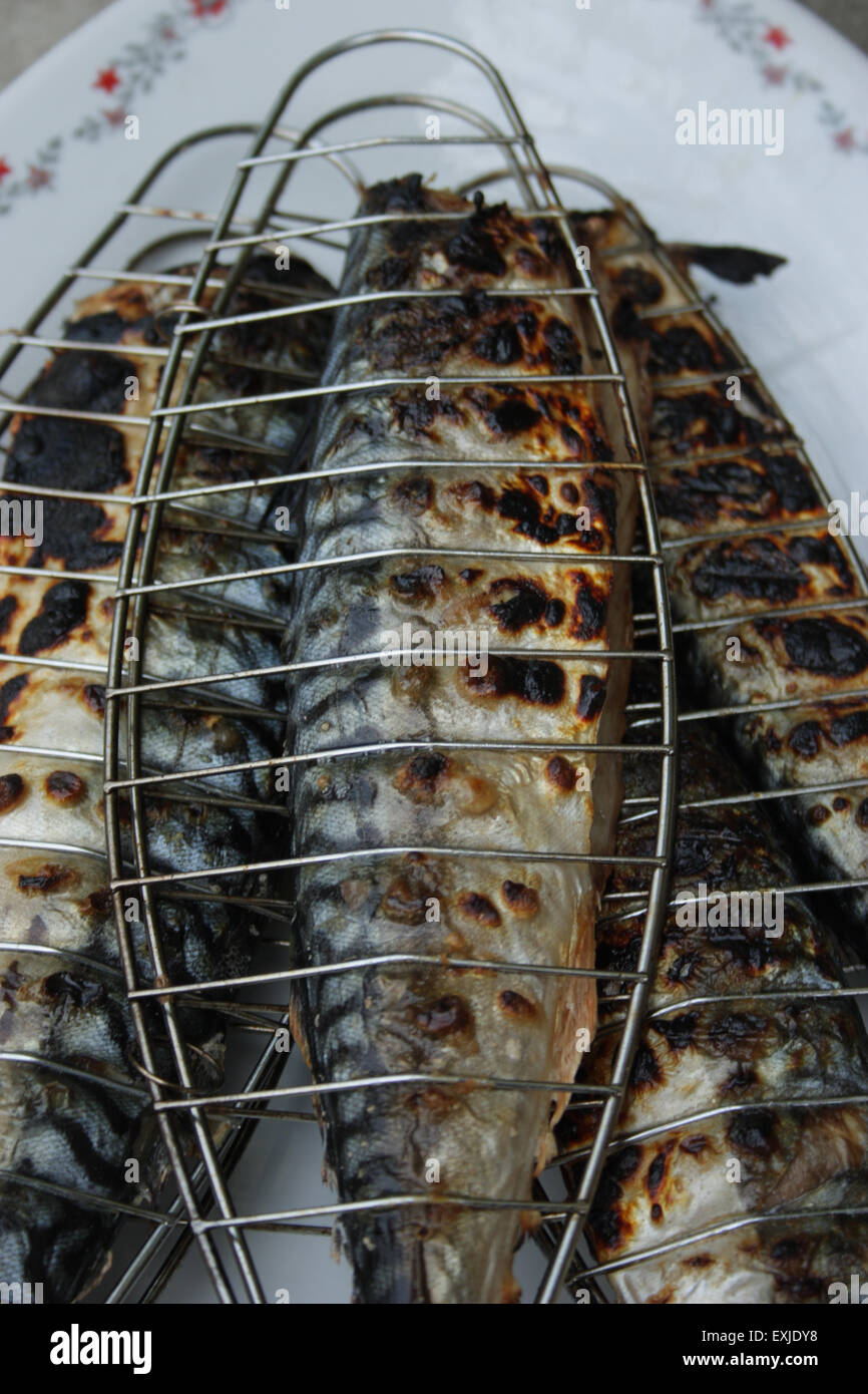 Barbecuing mackerel on charcoal fire closeup image Stock Photo Alamy