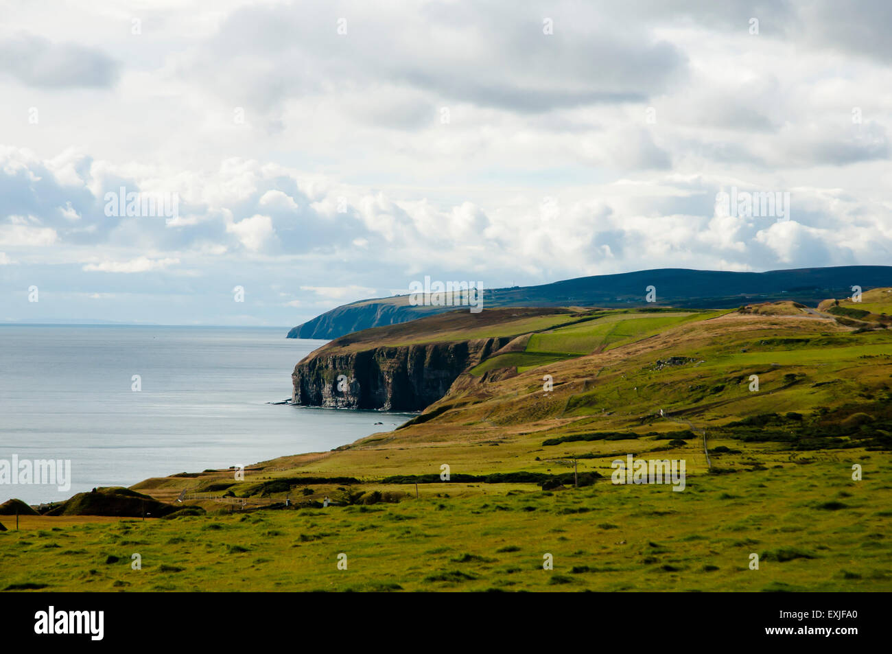 Highland Pasture Coast - Scotland Stock Photo