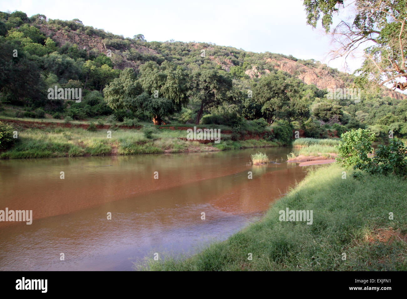 Limpopo river South Africa Stock Photo