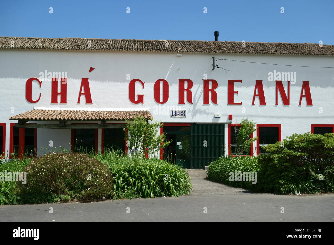 Producing tea hires stock photography and images Alamy