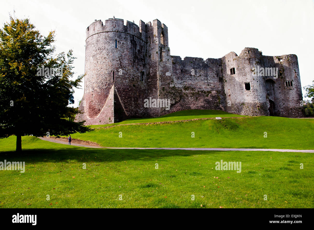 Chepstow Castle - Wales Stock Photo