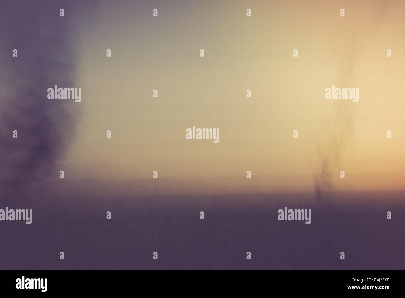 Blurry abstract fall plant hi-res stock photography and images - Alamy
