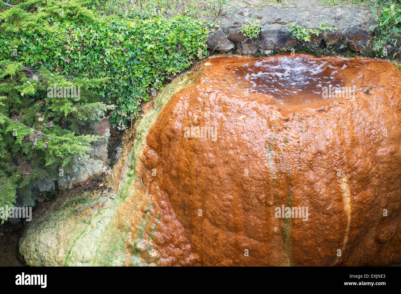 A spring of mineral rich water staining rocks at the Spa town of Châtel-Guyon,  Puy-de-Dôme, Auvergne, France, Europe Stock Photo