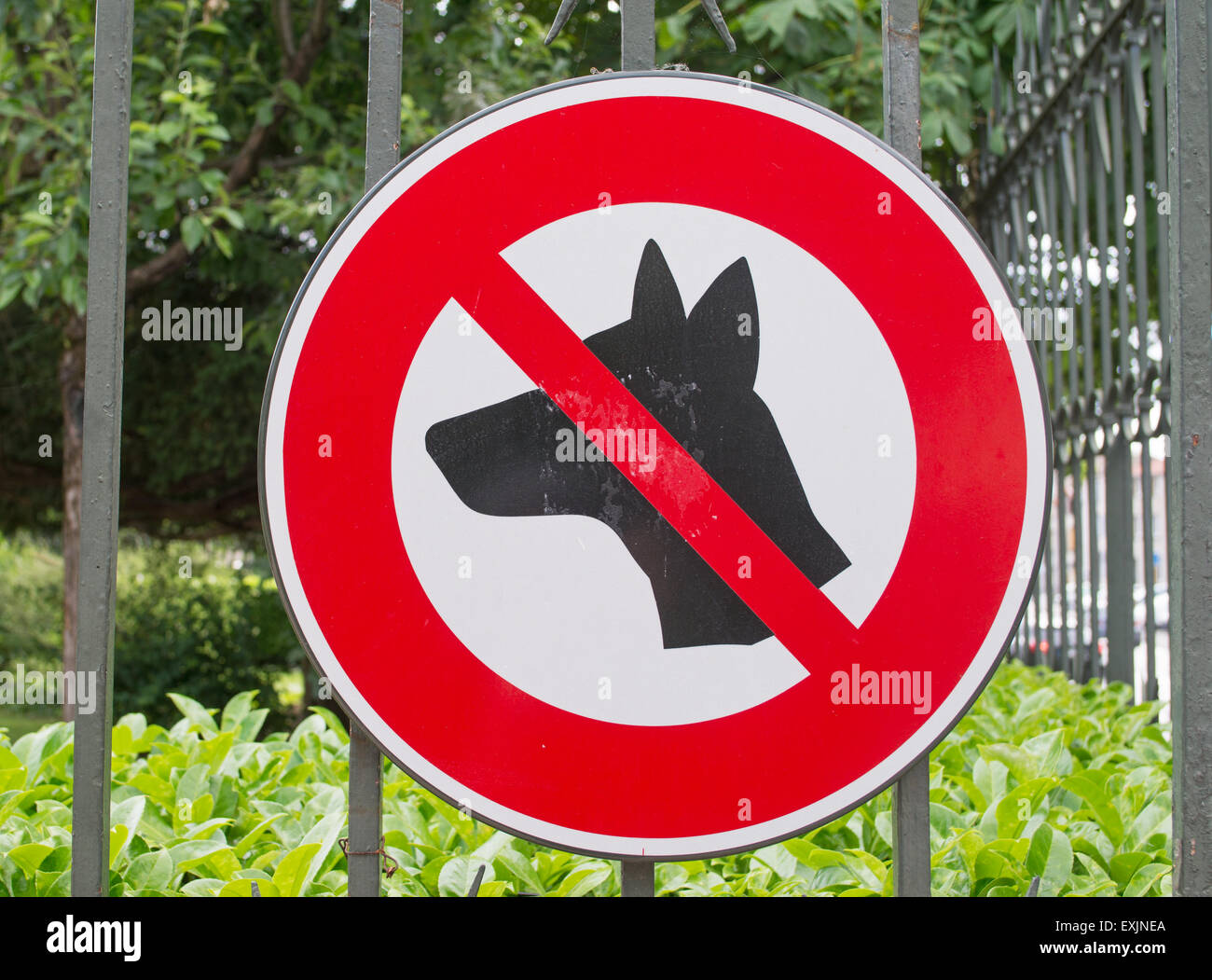 Are Pitbulls Allowed In Europe