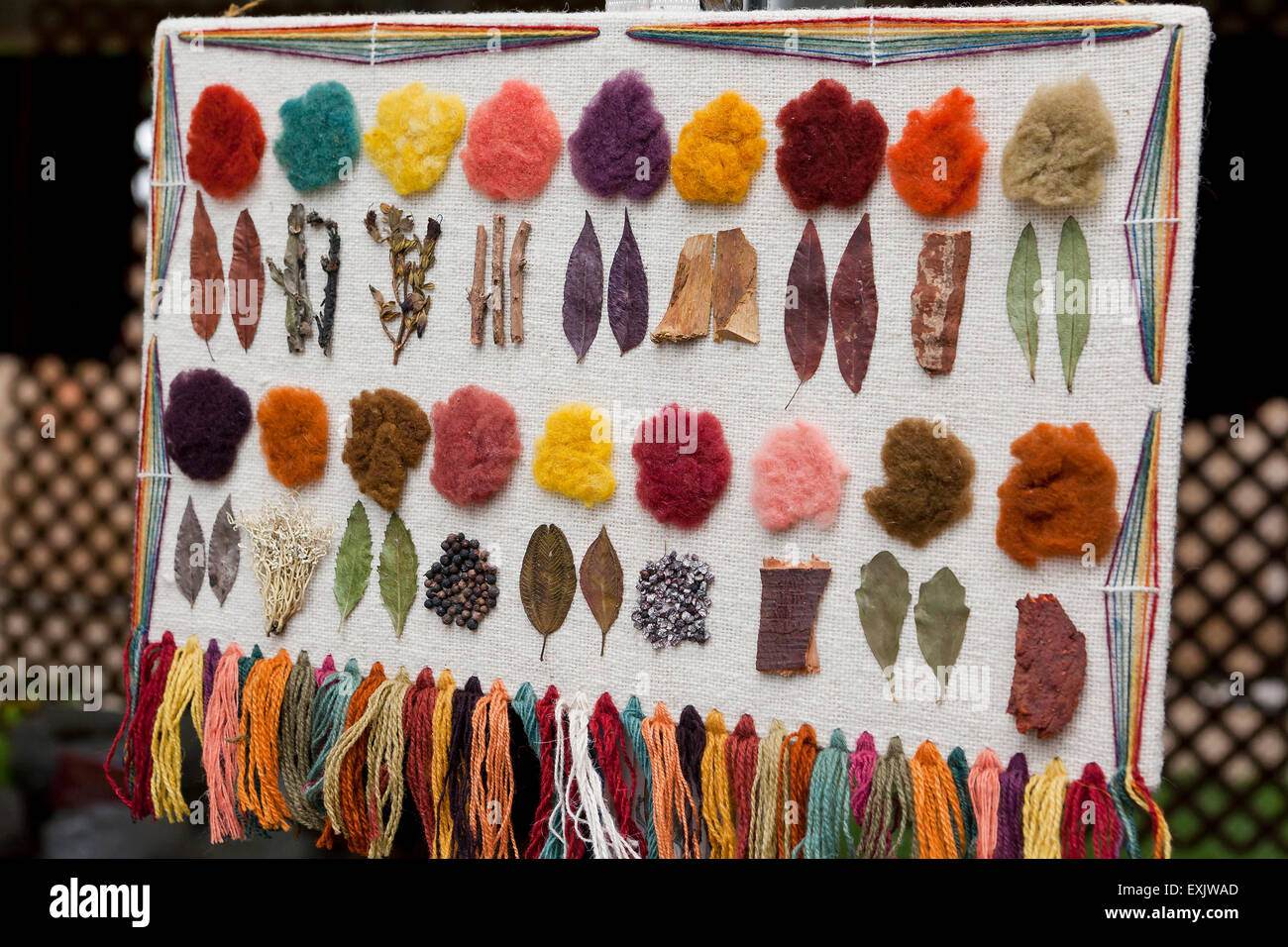 Multi-colored yarns displayed with plant samples from which the color dyes are derived Stock Photo
