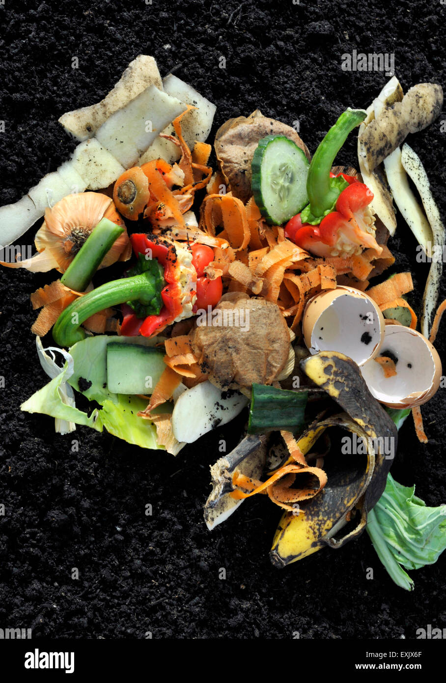 https://c8.alamy.com/comp/EXJX6F/kitchen-household-vegetable-waste-recycling-EXJX6F.jpg