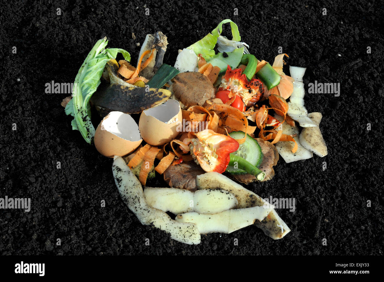 Household vegetable and kitchen waste recycling Stock Photo Alamy