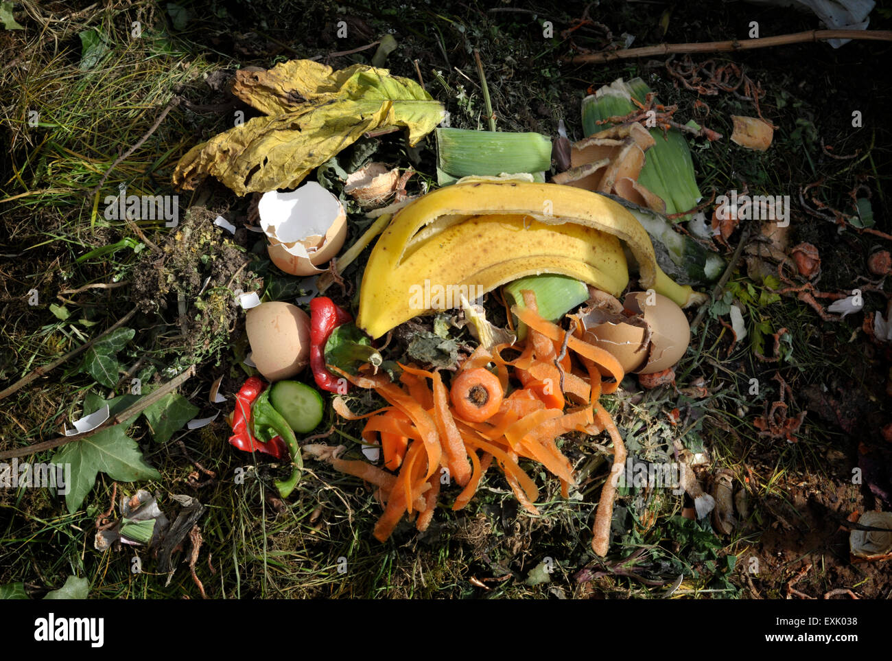 Kitchen waste and garden material on a home compost heap. Stock Photo
