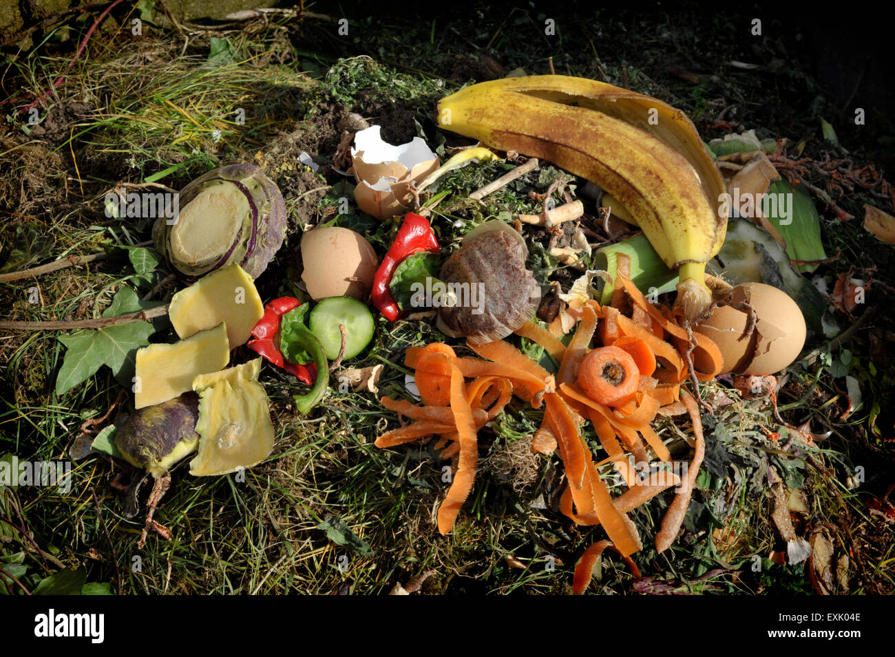Kitchen household food and garden waste on a compost heap. Stock Photo