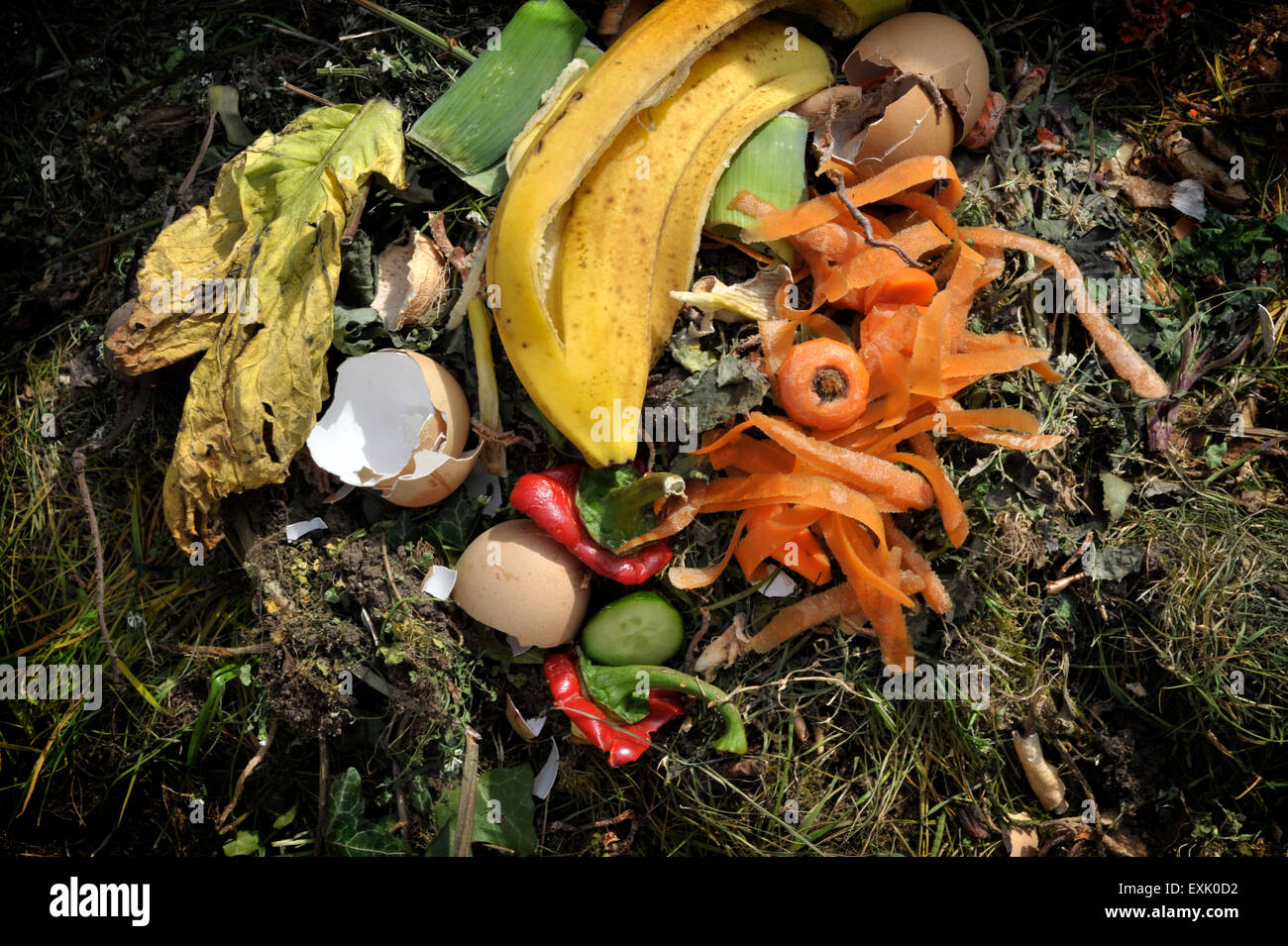 Kitchen household food and garden waste on a compost heap. Stock Photo