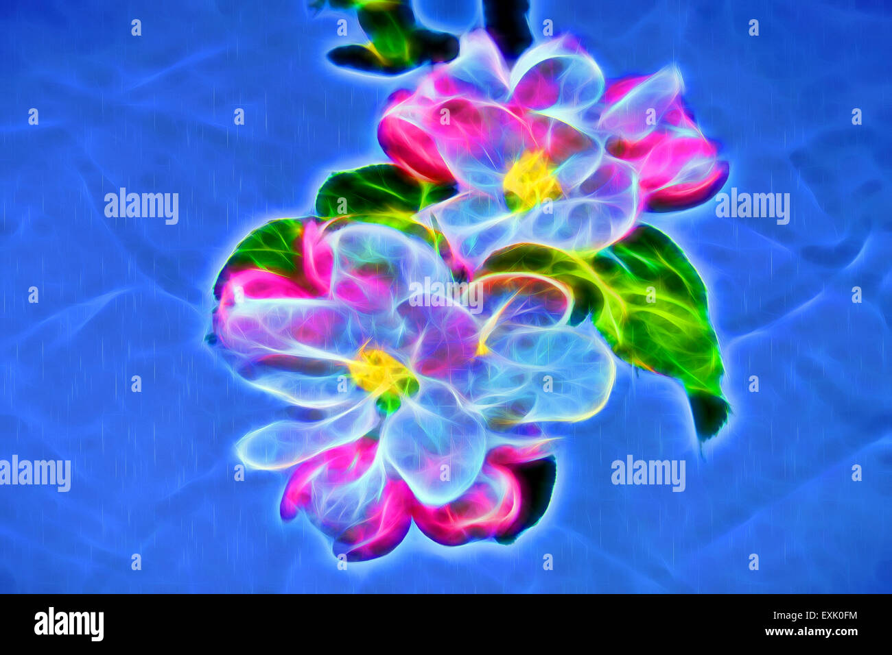 Computer generated artwork of apple blossom Stock Photo