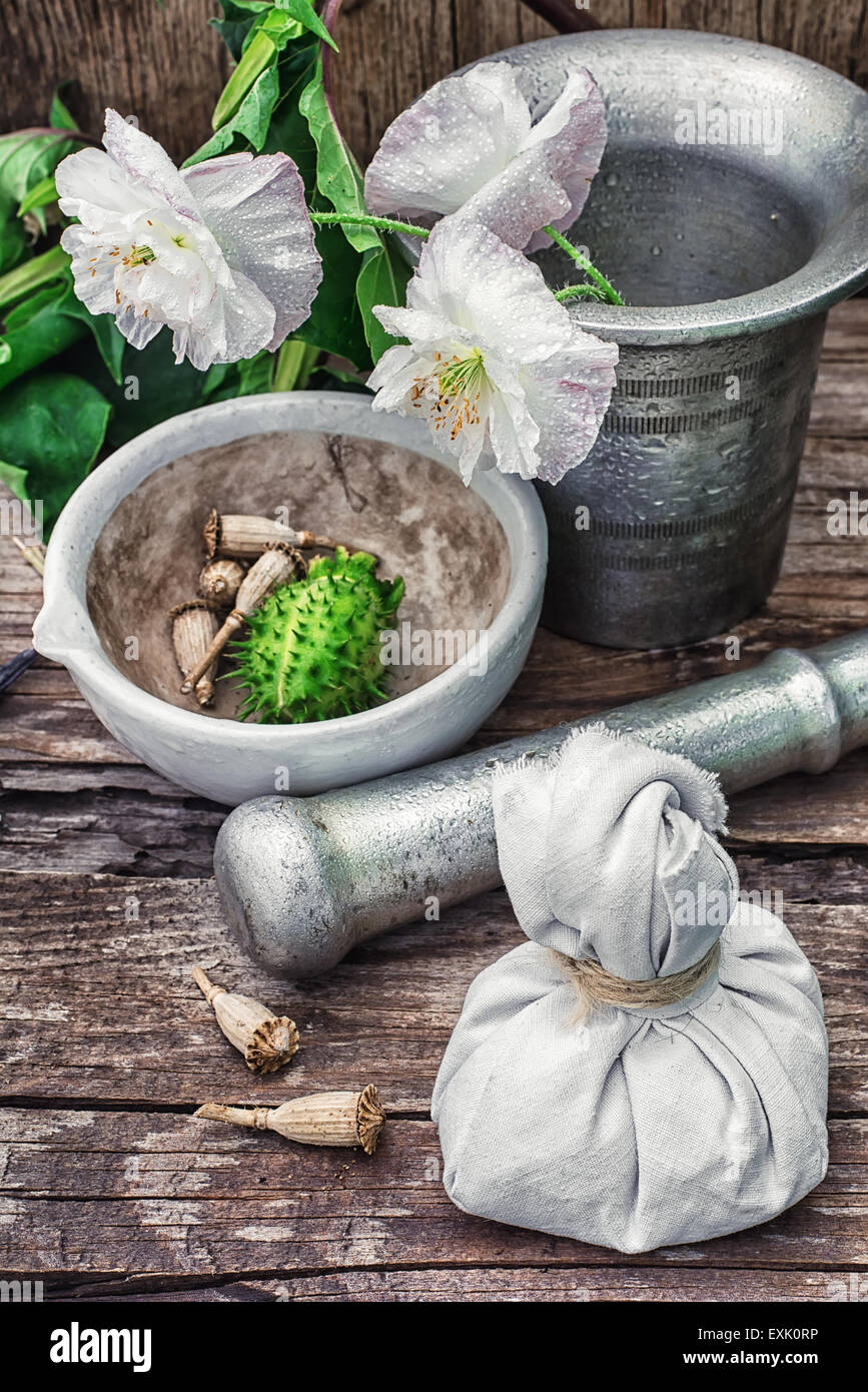 Stems of herbaceous medicinal plants genus Datura Nightshade family with poppy seeds on the background mortar with pestle. Stock Photo