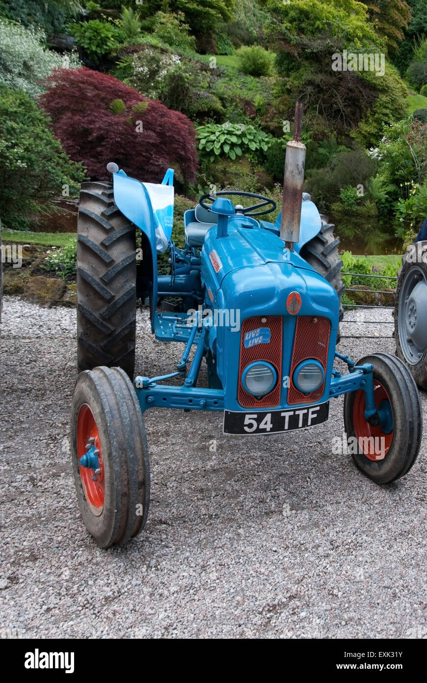 1961 Blue Fordson Super Major Farm Tractor Stock Photo