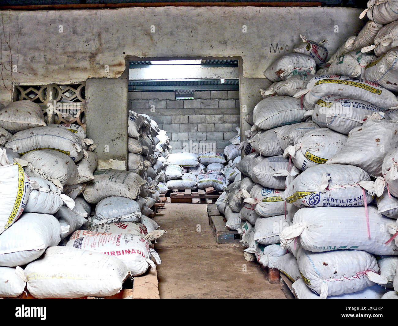 Panama, Central America, 2007. A Cashew nut factory. A warehouse full