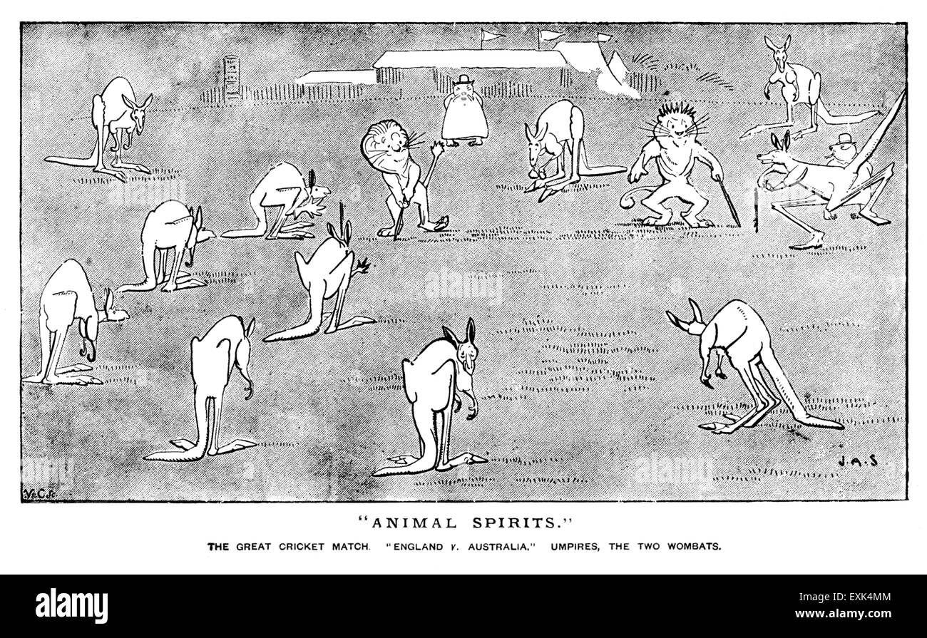 amusing Victorian illustration from 1895 by J A Shepherd, “Animal Spirits” cricket match Stock Photo