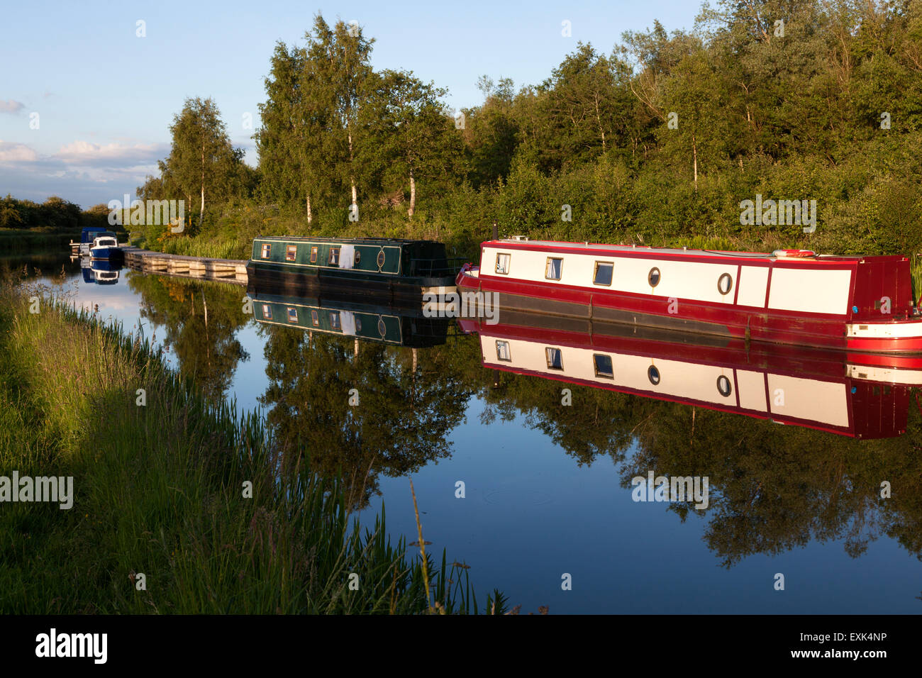 Narrowboats reflecting evening light in the Forth & Clyde Canal, Falkirk, Stirling Stock Photo