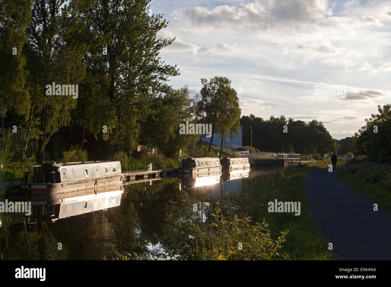 Narrowboats reflecting evening light in the Forth & Clyde Canal, Falkirk, Stirling Stock Photo