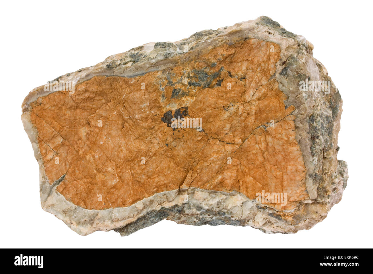 Dolomite in anorthositic gneiss Stock Photo