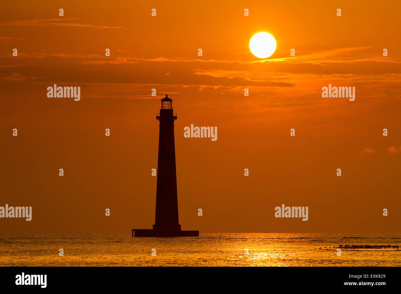 Sunrise over Morris Island Light house seen from Folly Beach July 13