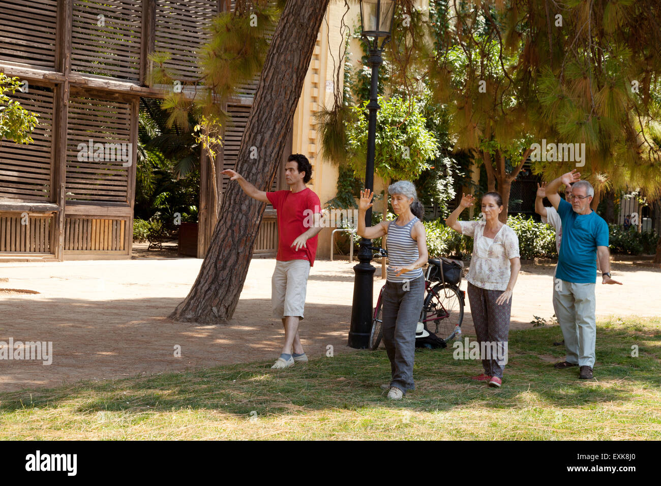 Local older people doing a Tai Chi class in a group, Parc de la Ciutadella ( Ciutadella Park ), Barcelona, Spain Europe Stock Photo