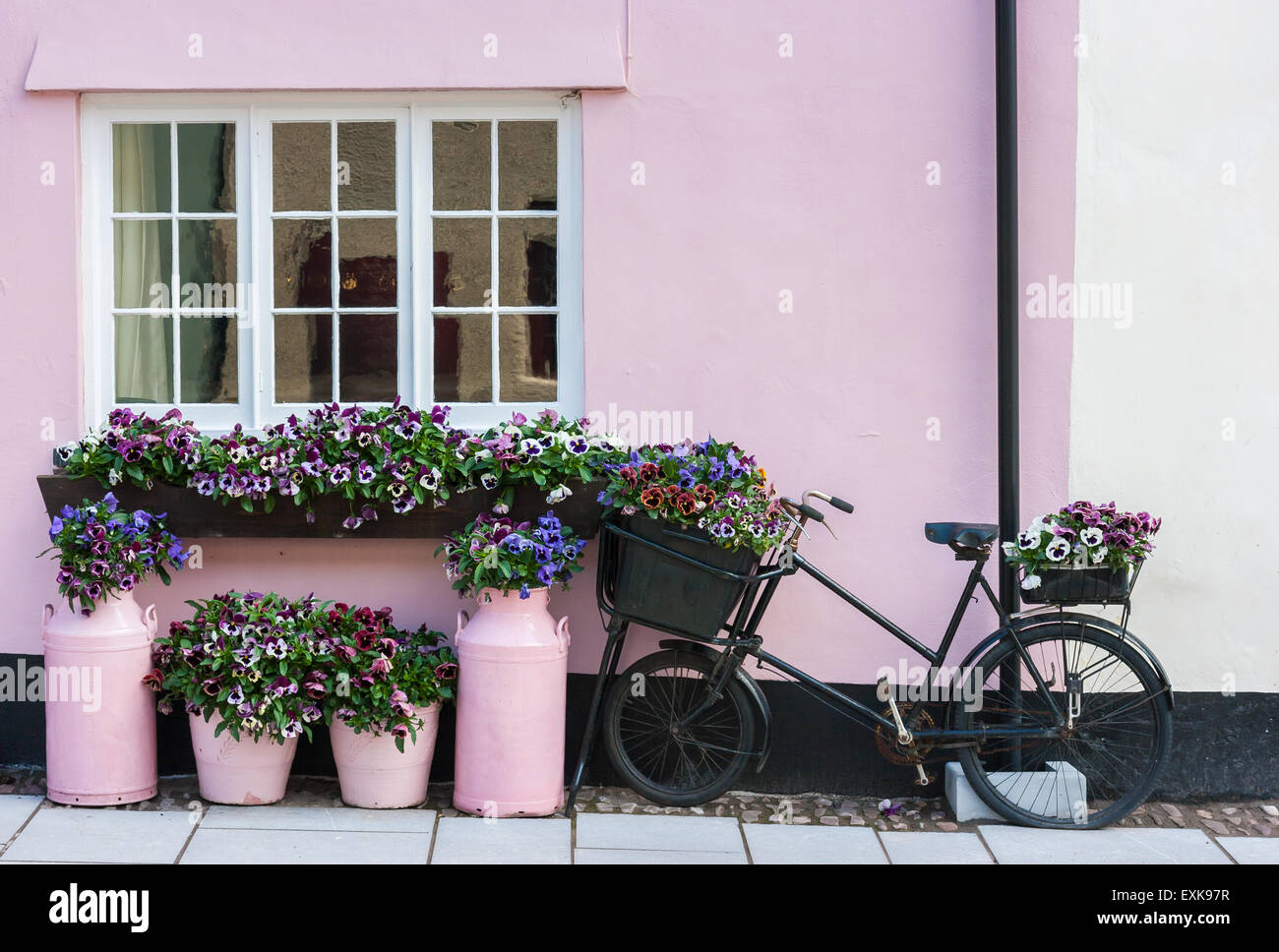 Colorful flower arrangement  outside  pink cottage with milk churns, buckets, and  Victorian bicycle. Stock Photo