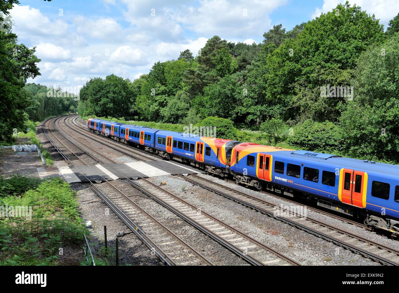 South West Train in countryside at Brookwood Surrey England UK Stock Photo