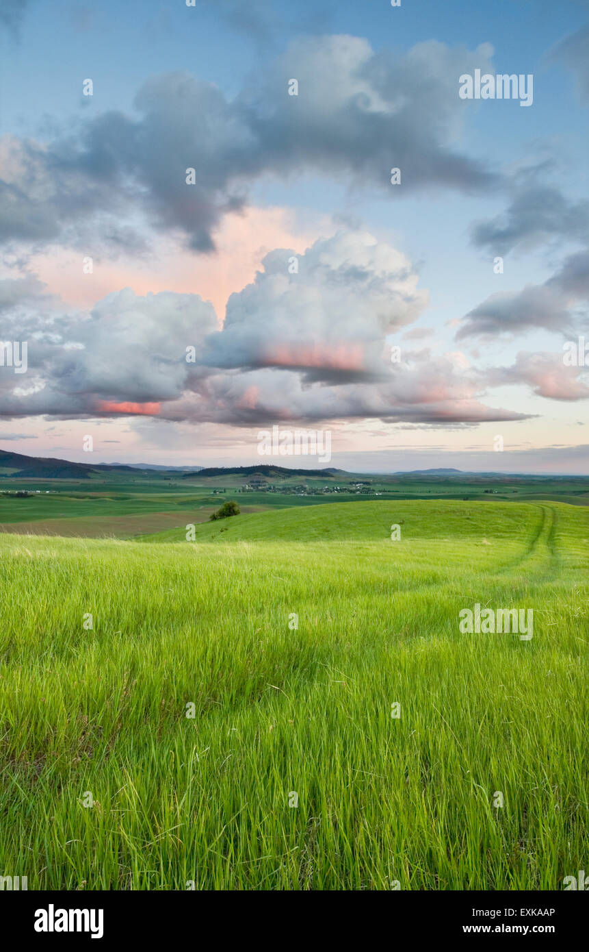 Clearing storm clouds in evening over a grassy meadow in the Palouse region of the Inland Empire of Washington Stock Photo
