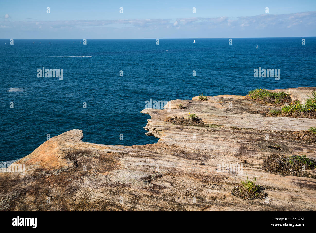 Watson Bay, The Gap Bluff, Sydney, Australia Stock Photo Alamy