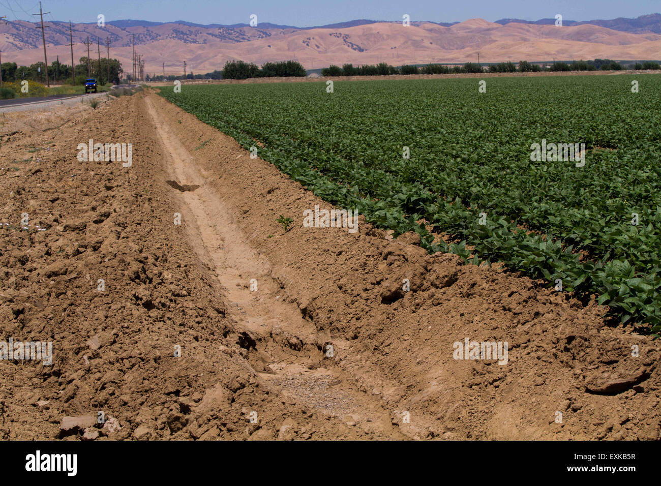 Crops near dry land california hires stock photography and images Alamy