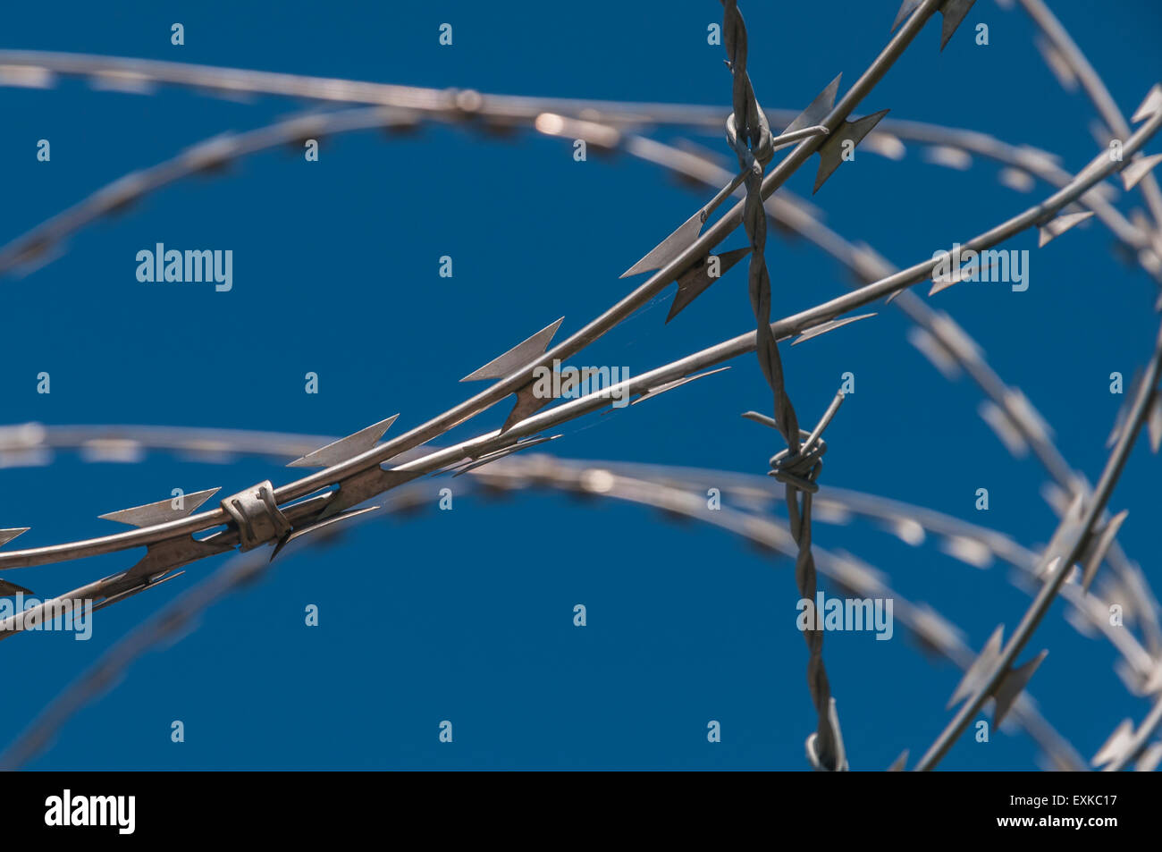 Barbed Tape Stock Photos & Barbed Tape Stock Images Alamy