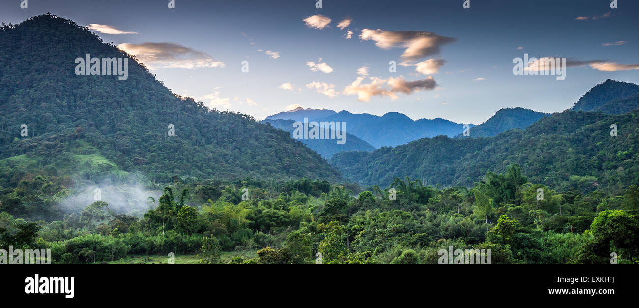 Lush green Mindo Valley in morning light. Mindo, Ecuador. Stock Photo