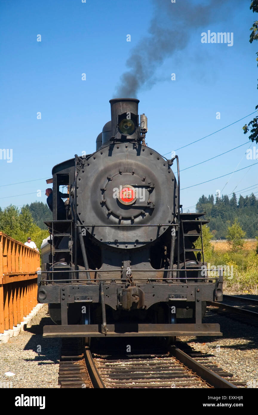 Tour train, ChehalisCentralia Railroad, Chehalis, Washington Stock