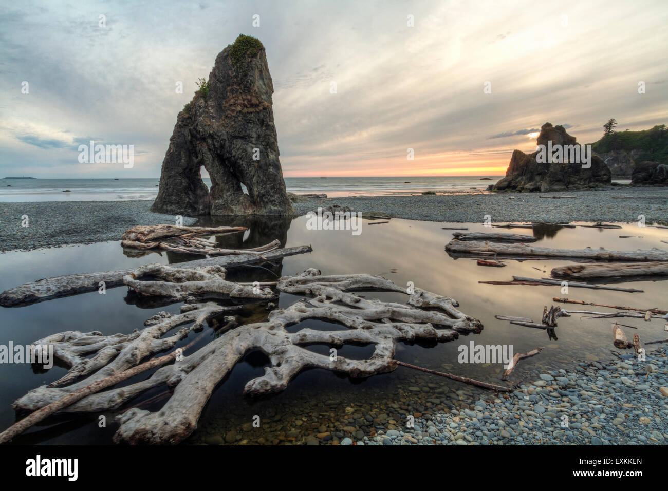 Sunset reflected in a slow moving stream, with sea stacks and driftwood, at Ruby Beach in Olympic National Park, Washington. Stock Photo