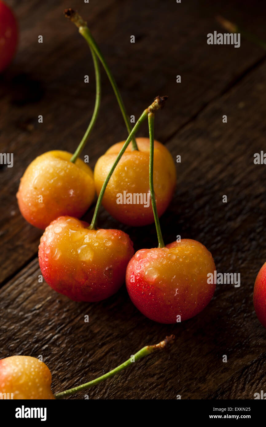 Healthy Organic Rainier Cherries in a Bowl Stock Photo