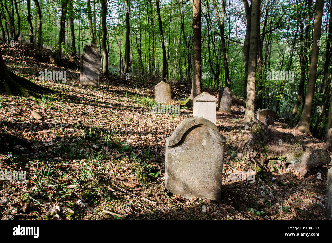 Jewish Cemetery Bueckeburg, Schaumburger Landkreis, Lower Saxony, Germany Stock Photo