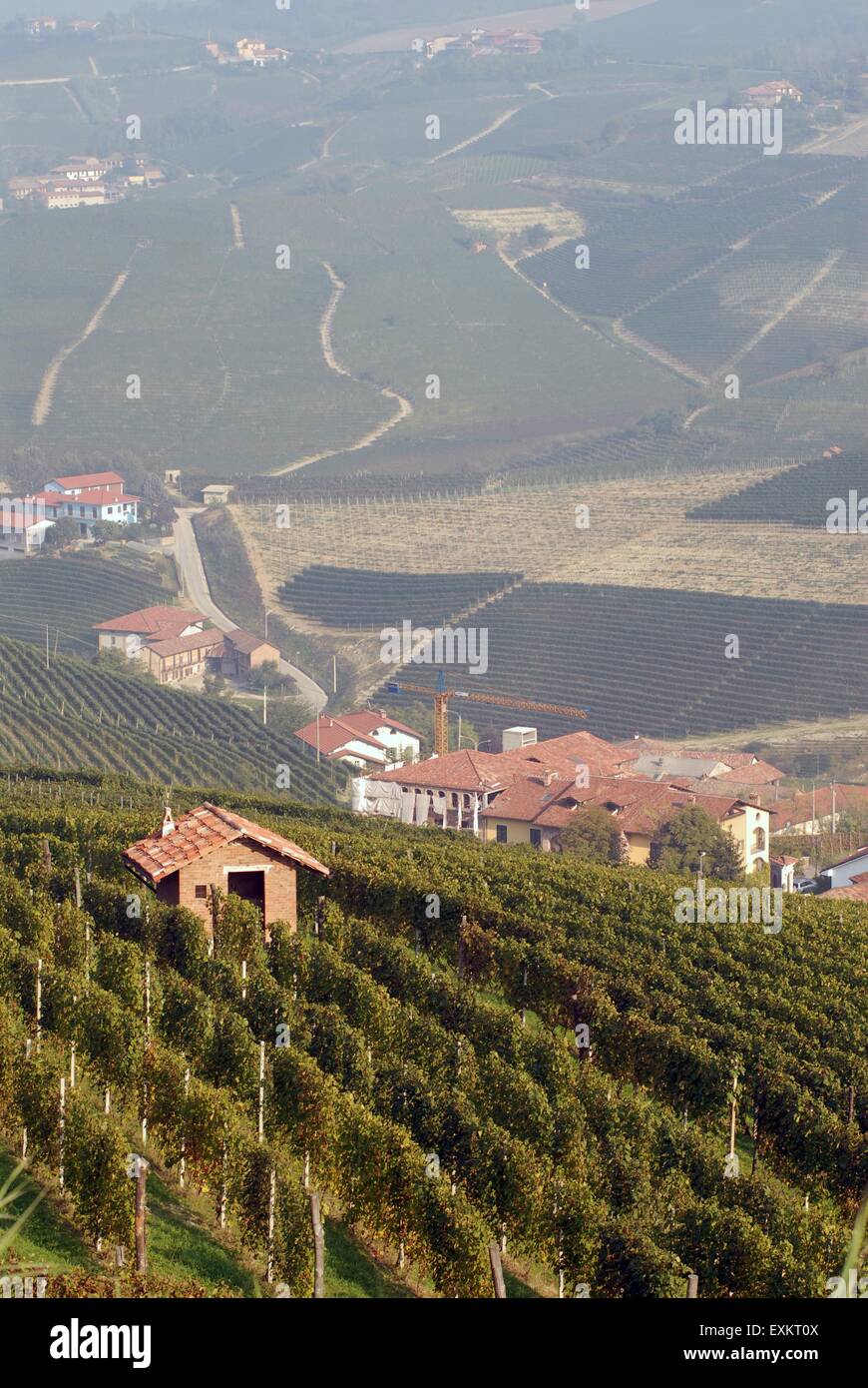Italy, Piedmont, Langhe hills, vineyards panorama Stock Photo