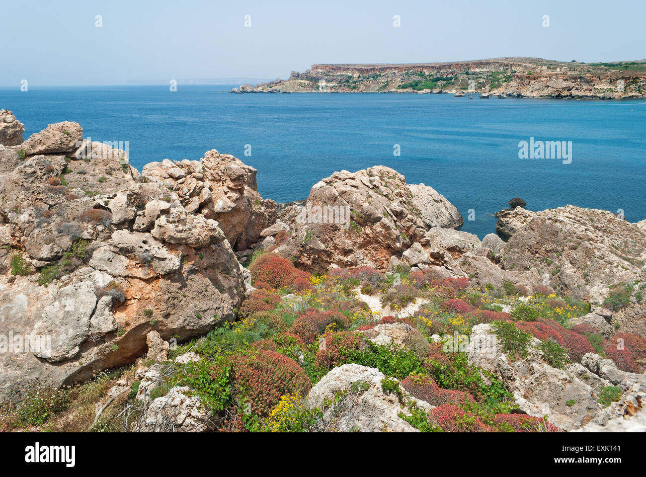 Malta - Coast Garrigue Steppe, Plaz Ghajn Tuffieha Bay, Melliena Stock Photo