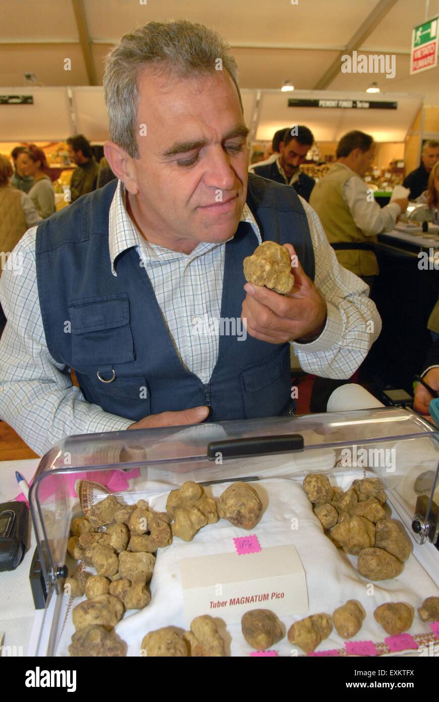 the truffle market in Alba, Piedmont region, Italy, typical action of sniff the white truffle