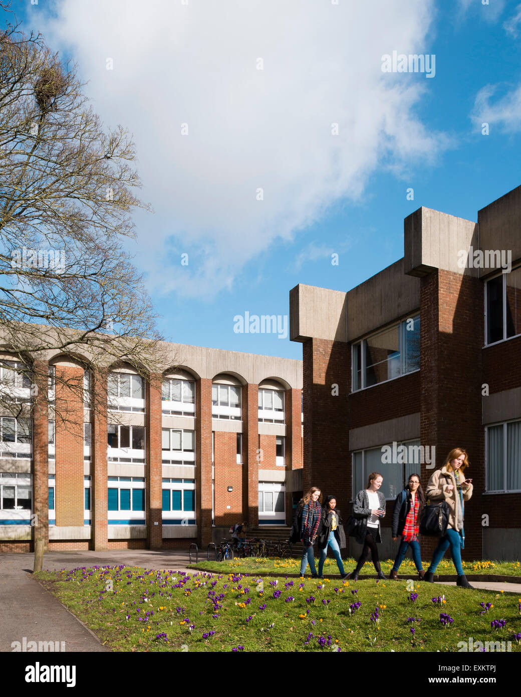 General exterior view of campus. University of Sussex, Brighton and
