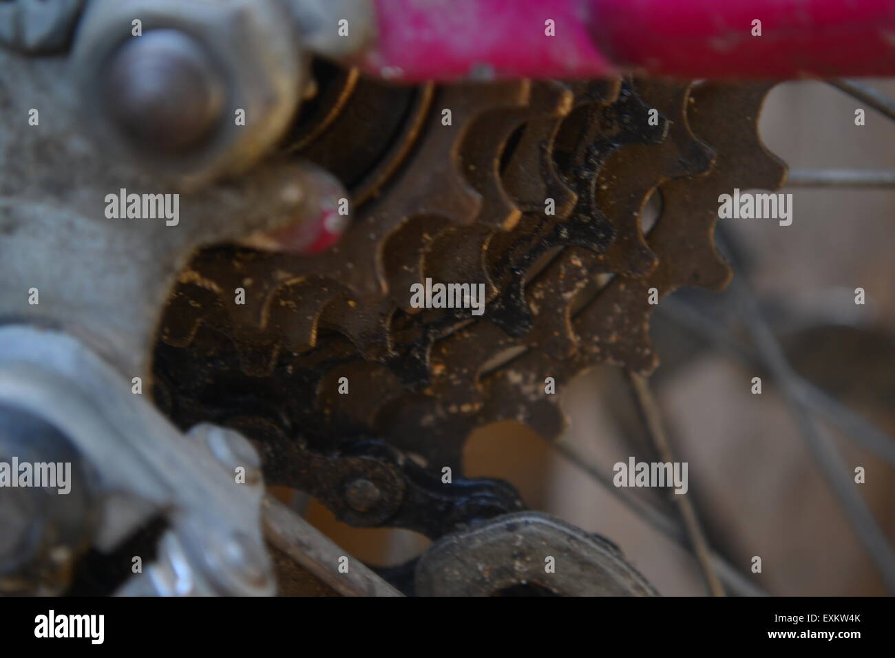 closeup bicycle rear gears Stock Photo