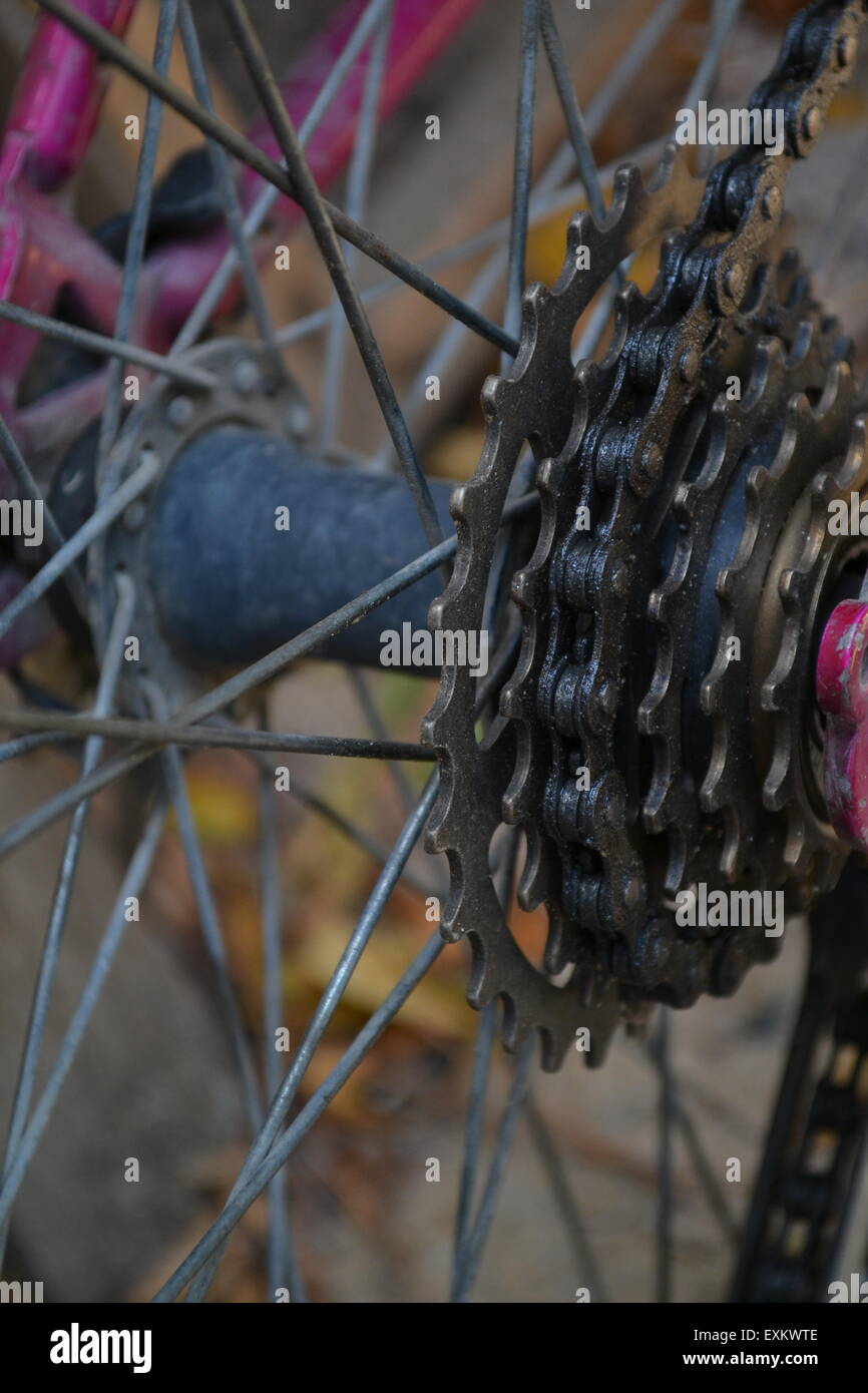 Chain and rear of a modern bicycle Stock Photo