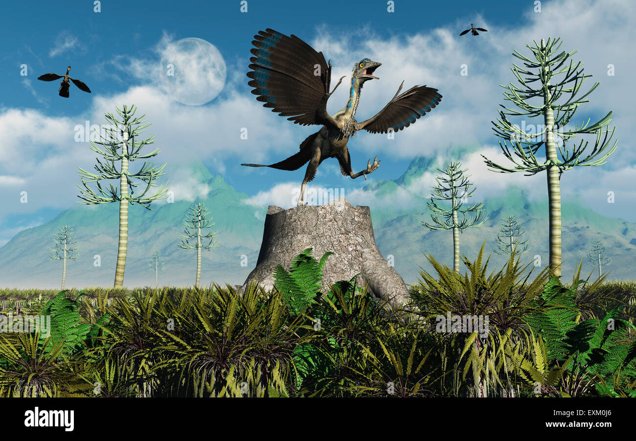 Archaeopteryx hires stock photography and images Alamy
