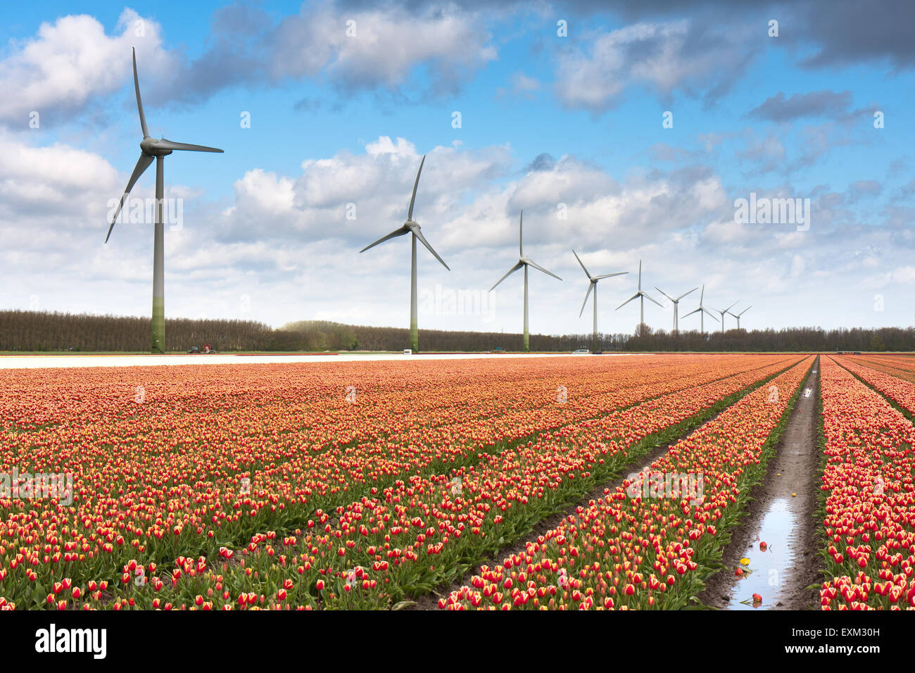 After heavy rain shower hi res stock photography and images Alamy