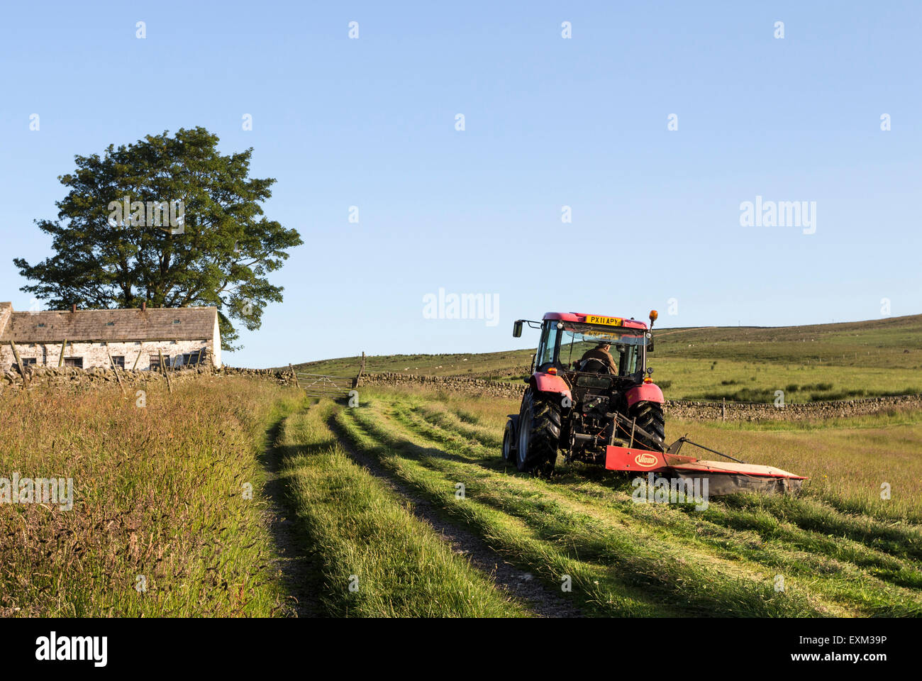 Bowlees, Upper Teesdale, County Durham. Wednesday 15th July 2015, UK Weather.   On upland farms with traditional hay meadows grass cutting is delayed until the middle of July in order to allow the native flowers and grasses to set seed. With further warm and dry weather forecast for the next few days, local farmers were out early this morning to begin making their hay. Credit:  David Forster/Alamy Live News Stock Photo