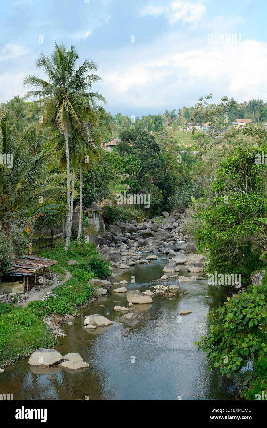 a ravine running down through the rice terraces at the base of mount lawu near solo java indonesia Stock Photo