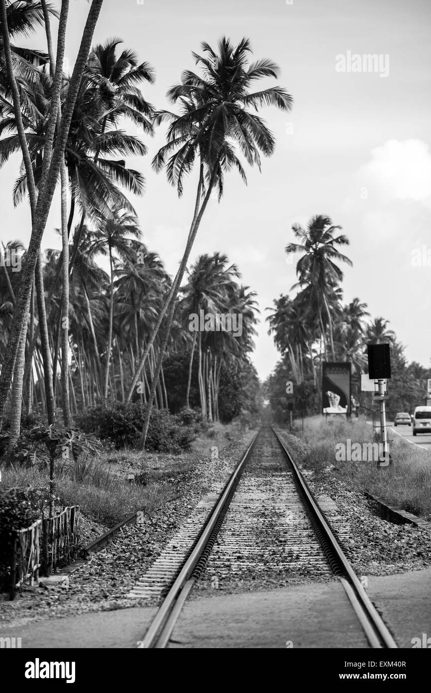 Sri Lanka South seaside Stock Photo - Alamy