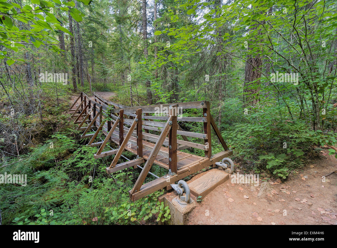 Suspension Bridge Over Falls Creek in Gifford Pinchot National Forest