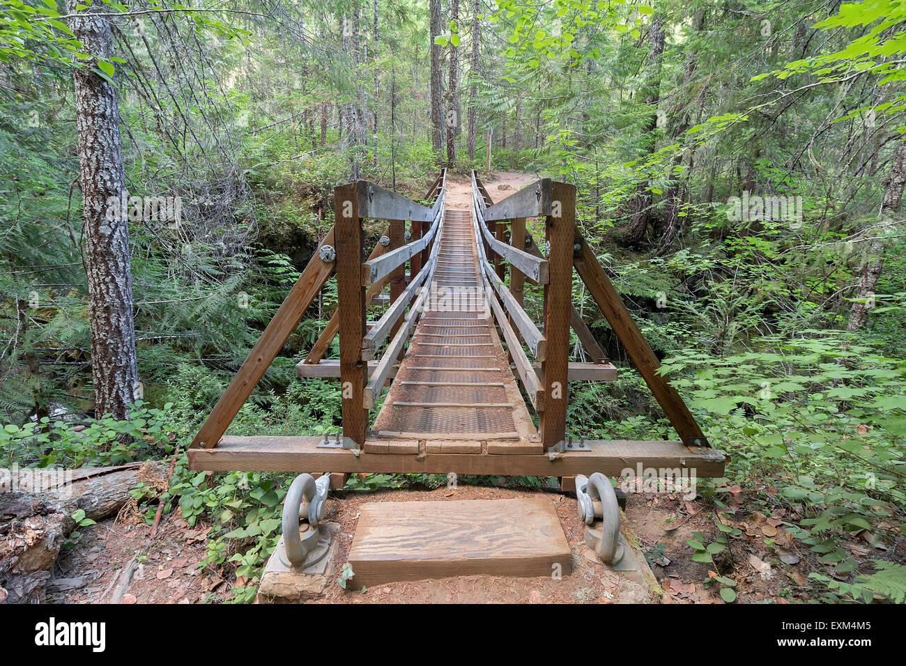 Suspension Bridge Over Falls Creek in Gifford Pinchot National Forest ...