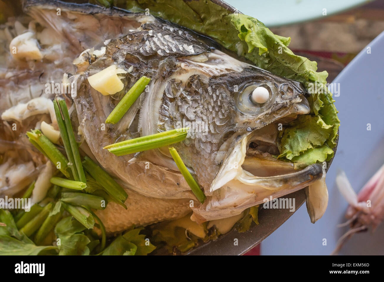 Steamed white perch fish in lime dressing ingredient include garlic,ginger and light soy sauce Stock Photo