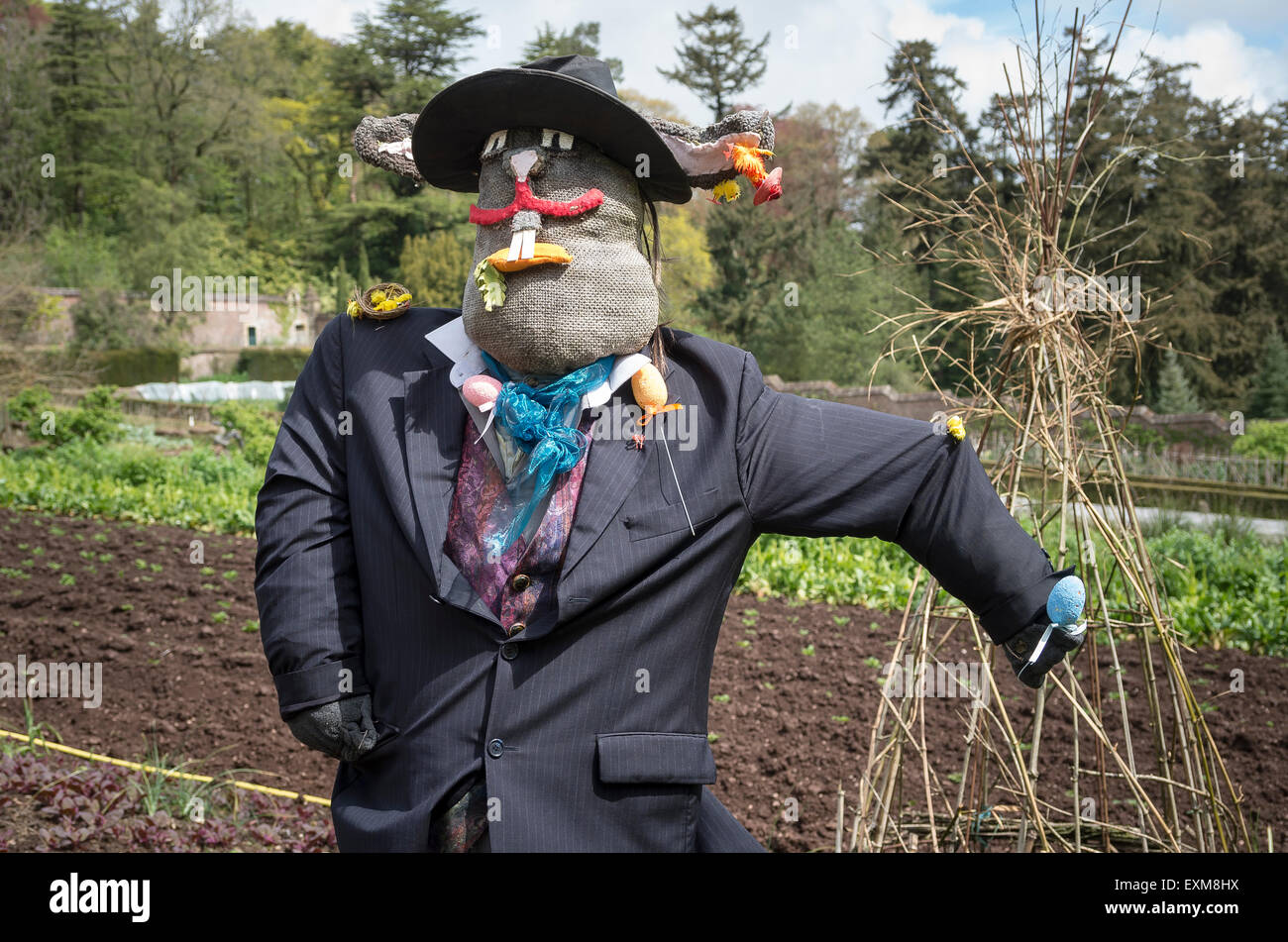 A scarecrow in the vegetable garden in Devon UK Stock Photo